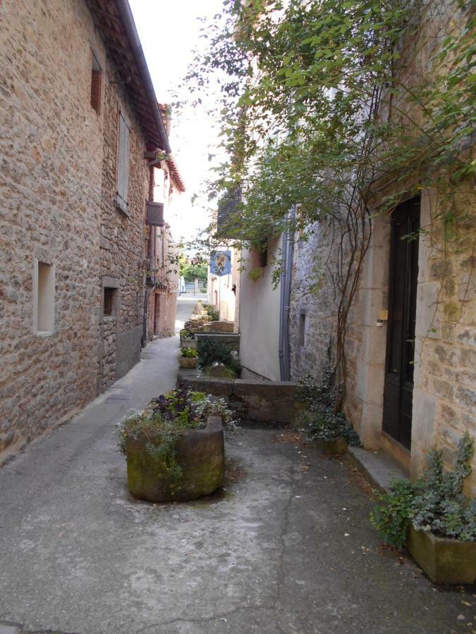 7 Rue Droite Villa Saint-Antonin Exterior photo