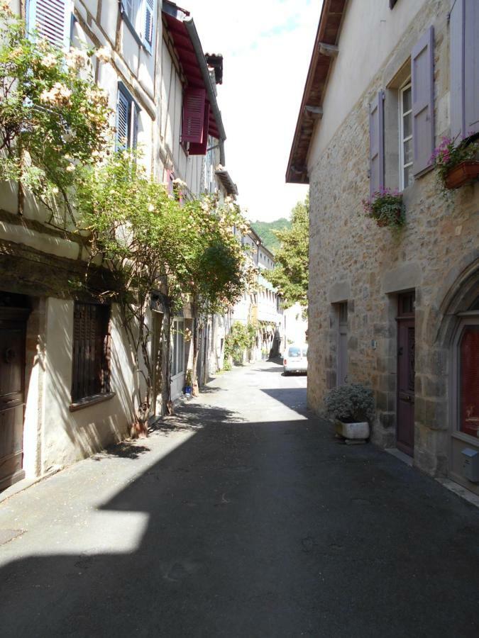 7 Rue Droite Villa Saint-Antonin Exterior photo